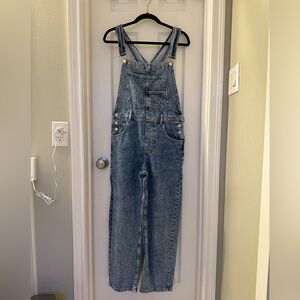 Free People We The Free Ziggy Denim Overalls